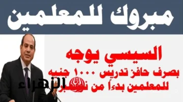 بشرى للمعلمين.. قرار رئاسي بصرف حافز 1000 جنيه شهريًا بدءًا من هذا الموعد 1